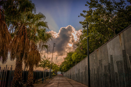 A beautiful shot of a street surrounded by a lot of trees under a beautiful cloudy skyの写真素材