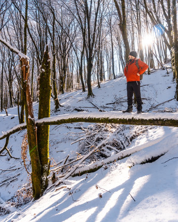 A vertical shot of a young hiker standing on a fallen log in the snowy Artikutza park in San Sebastian, Basque Country, Spainの写真素材