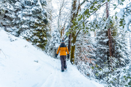 A Caucasian female hiker in a yellow jacket standing surrounded winter scenes in Artikutza natural park, Spainの写真素材