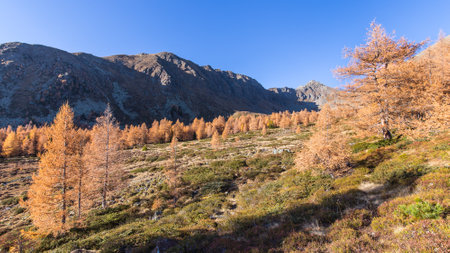 Autumn impression from the austrian mountains on a sunny and beautiful day.の写真素材