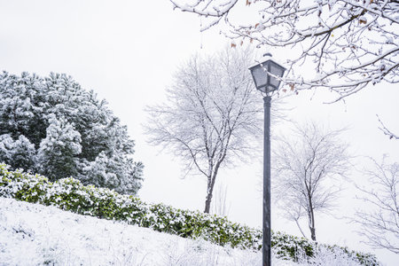 A beautiful snowy park in Madrid, Spain in 2021の写真素材