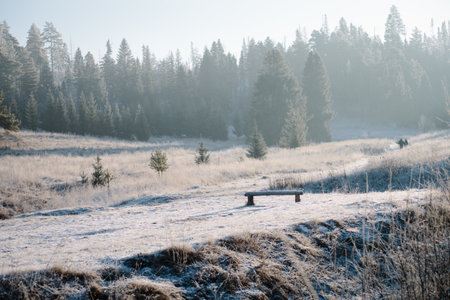 A closeup shot of a bench, trees, and people walking in a snowy fieldの写真素材