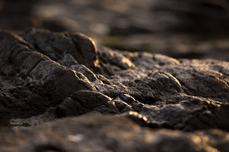 A macro shot of the soil under the natural sunlight. Detailed rocks, perfect for wallpaperの写真素材