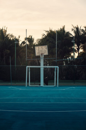A vertical shot of a basketball rack in a court surrounded by treesの写真素材