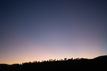 A beautiful landscape with tree silhouettes over a clear sunset sky