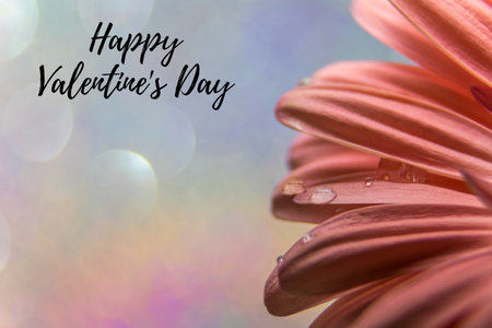 A closeup shot of a wonderful flower petals covered with water dropsの写真素材