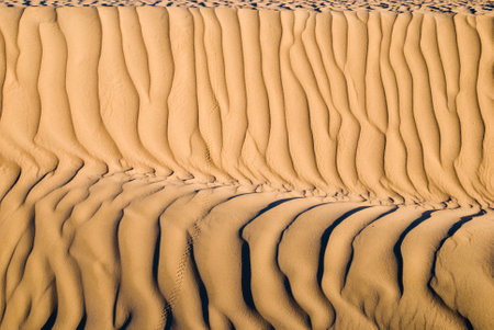 A closeup shot of a sand wave texture in the desert. Beautiful wallpaper