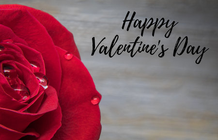 A closeup shot of a lovely red rose covered with water drops
