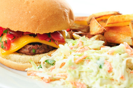 juicy hamburger with hand cut fries and cole slawの写真素材