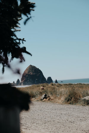 A vertical shot of a beach and a calm seaの写真素材