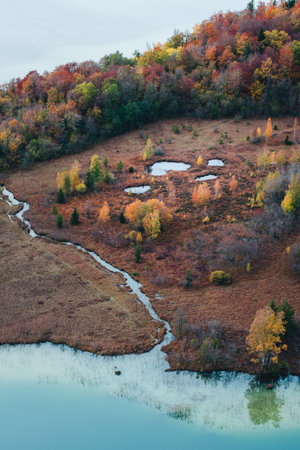 A vertical shot of beautiful colorful autumn trees and a pond