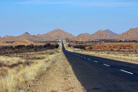 The asphalt road in the middle of a field captured on a sunny day in the countrysiの写真素材