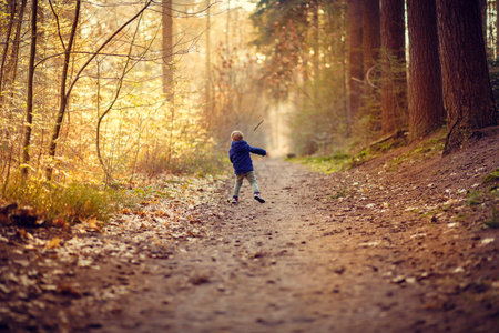 A cute little boy running in the autumn forestの写真素材