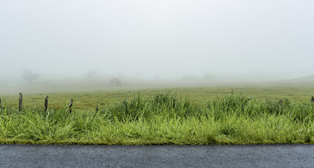 A closeup shot of an empty road surrounded by fields under a foggy sky