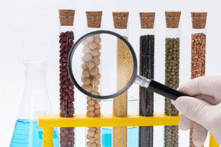 A closeup of a scientist examining beans in a laboratory against a white backgroundの写真素材