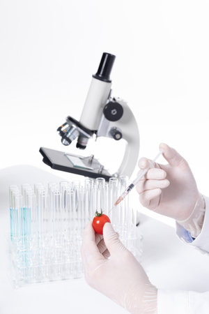 A vertical shot of a scientist injecting toxic substances into a cherry tomato in a laboratoryの写真素材