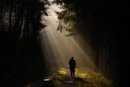 A male in foggy forest at sunsetの写真素材