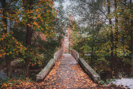 A stone bridge over a river in a park on an autumn day