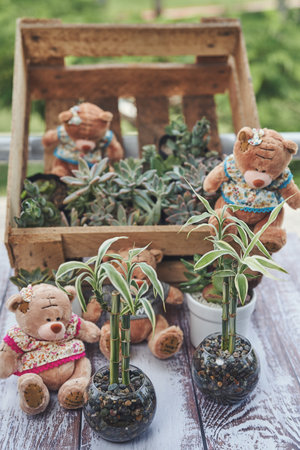 A vertical shot of different plants in small pots with stuffed bear toys on the table in a gardenの写真素材