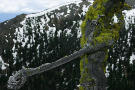 A beautiful scenery of the famous Snoqualmie mountains near Seattle, Washington