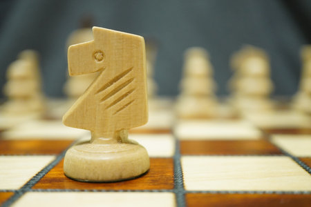 A selective focus shot of a white's knight on a chessboardの写真素材
