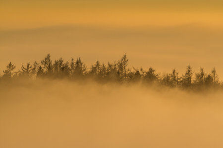 Autumn sunset scene with some tree tops in the fog