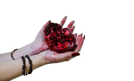 A closeup shot of a woman with a red manicure holding ripe juicy broken pomegranate fruit in her handsの写真素材