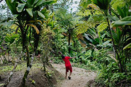 A boy in red in a tropical forest from behindの写真素材