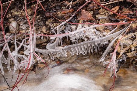 A closeup of the icy riverbank during the winter season