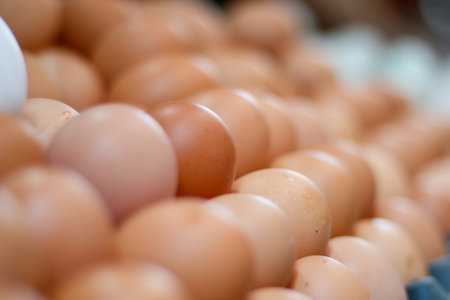Fresh raw yellow eggs in the marketの写真素材
