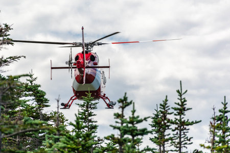 A selective focus closeup of a red and white helicopter landing behind evergreen treesの写真素材