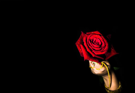 A female hand with gold bangles holding a red rose on a black backgroundの写真素材