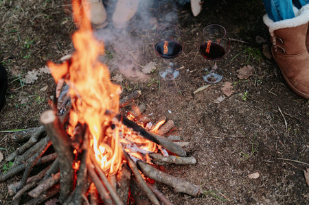 A selective focus of two glasses of wine next to a pile of burning firewood