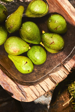 A top view closeup view of green and yellow avocados under pouring water in a wooden tankの写真素材