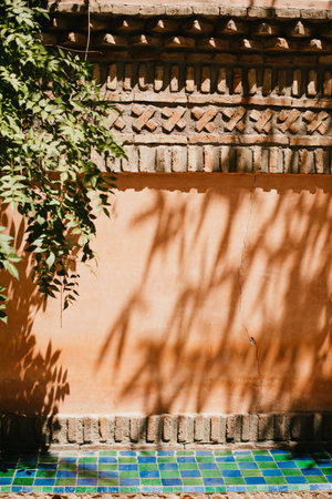 A vertical shot of the shadows of trees falling on a wallの写真素材