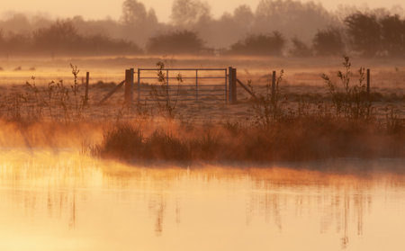 A golden sunset over a lakeの写真素材