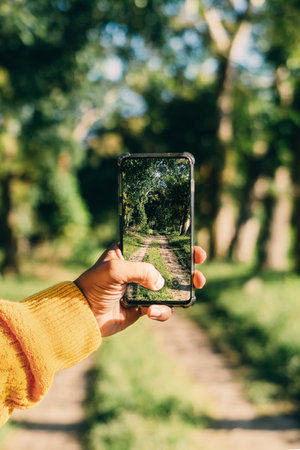 A vertical shot of a person taking a photo of a path with a smartphoneの写真素材