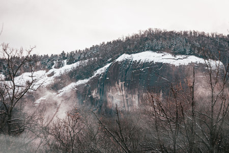 A beautiful view of a mountainous landscape with leafless trees covered in snowの写真素材
