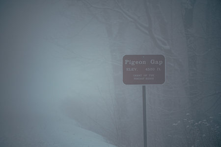 A road sign with Pigeon Gap text near leafless trees on a foggy dayの写真素材