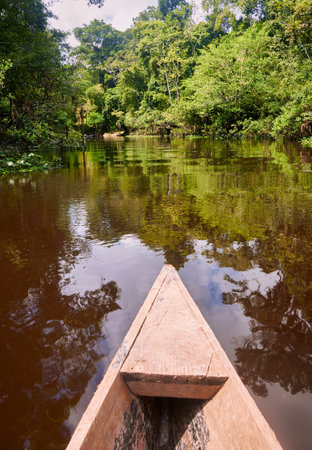 A beautiful view of the flowing river surrounded by the jungle from the wooden boatの写真素材