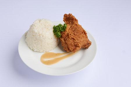 A closeup shot of chicken served with rice and sauce on an isolated backgroundの写真素材