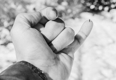 A grayscale closeup shot of a man's hand with a thorn on his pinky fingerの写真素材