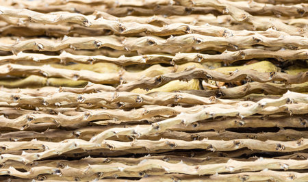 A closeup of vegetable fibers from the palm bunch