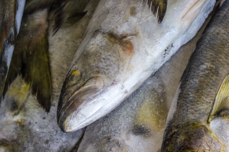 A closeup shot of fish caught by fishmongerの写真素材