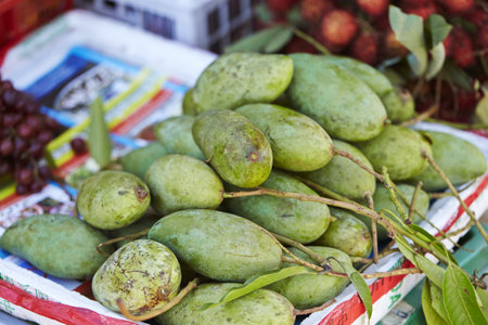 A selective focus shot of green avocados in a fruit marketの写真素材