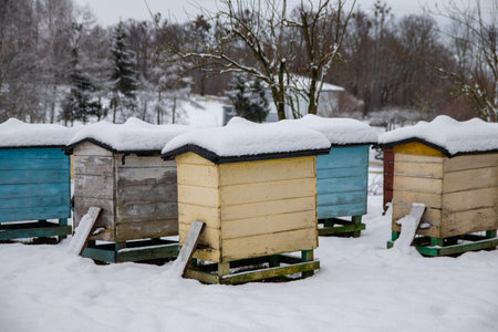A closeup of colorful hives in an apiary covered with snow during winterの写真素材