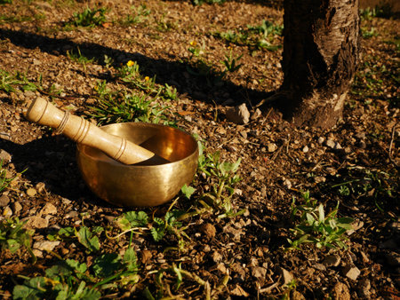 Metal singing bowl for relaxing and receiving healing vibrationsの写真素材