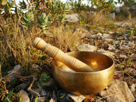 Metal singing bowl for relaxing and receiving healing vibrationsの写真素材