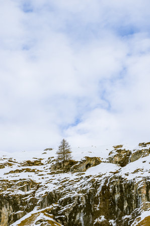 A beautiful view of the mountain and the forests covered in snow on a cold winter day