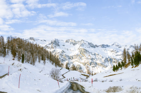 A beautiful view of the mountain and the forests covered in snow on a cold winter dayの写真素材